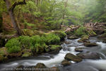 Irrel "Waterfalls," Germany, 2009