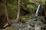 Waterfall, Strathcona Provincial Park, Canada, 2010