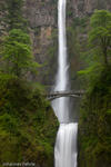 Multnomah Falls, Oregon, USA, 2010