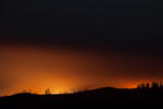 Forest Fire at Night