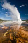 04. Castle Geysir, Yellowstone NP