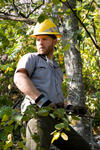 26. Trail Crew, Acadia NP