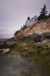 27. Bass Harbor Head Light, Mt. Desert Island