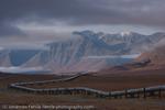 Trans Alaska Pipeline North of Atigun Pass, Alaska, USA, 2008