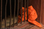 Orange Cloth, Wat Phnom, Phnom Penh, Cambodia, 2007