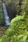 Waterfall, Hawaii, 2007