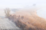 Early Morning Fog, Lake Constance, Germany, 2007