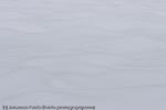 Snow, Berchtesgaden, 2008