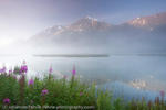 Fehrle_Alaska (11 of 33)