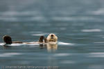 Fehrle_Alaska (13 of 33)