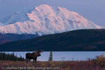 Fehrle_Alaska (21 of 33)