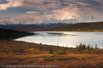 Fehrle_Alaska (22 of 33)