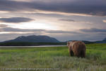 Fehrle_Alaska (4 of 33)