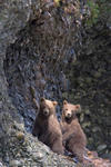 Fehrle_Alaska (5 of 33)