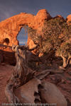 Turret Arch, Arches National Park, USA, 2009