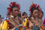 Members of the Royal Family, Reed Dance, Swasiland, 2009